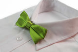 Boys Light Green Plain Bow Tie