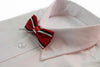 Boys Red With Black & White Stripes Patterned Bow Tie