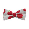 Boys White Red Apple Fruit Patterned Bow Tie