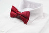 Mens Red With Silver Patterned Bow Tie