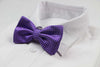 Mens Purple Plain Coloured Bow Tie With White Polka Dots