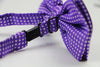 Mens Purple Plain Coloured Bow Tie With White Polka Dots