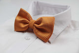 Mens Orange Plain Coloured Bow Tie With White Polka Dots