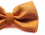 Mens Orange Plain Coloured Bow Tie With White Polka Dots