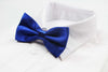 Mens Blue Solid Plain Colour Bow Tie