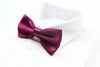 Mens Burgundy Solid Plain Colour Bow Tie