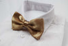 Mens Gold Solid Plain Colour Bow Tie