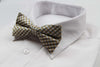 Mens Gold, White & Black Checkered Cotton Bow Tie