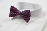 Mens Pink & Navy Stripe Patterned Bow Tie