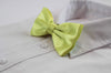 Mens Lime Solid Plain Colour Bow Tie