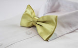 Mens Yellow Gold Solid Plain Colour Bow Tie