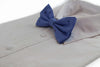 Mens Blue Denim Preppy Insects Patterned Cotton Bow Tie