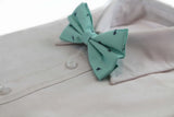 Mens Mint Preppy Insects Patterned Cotton Bow Tie