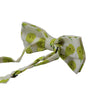 Mens Pear Fruit Patterned Bow Tie