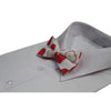 Mens White Red Apple Fruit Patterned Bow Tie