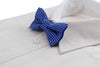 Boys Blue Bow Tie With White Polka Dots
