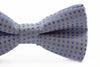 Boys Light Blue Polka Dot Pattern Bow Tie