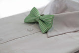 Boys Light Green Polka Dot Pattern Bow Tie