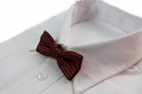Boys Black With Red Small Polka Dot Patterned Bow Tie