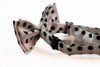 Boys White With Black Small Polka Dot Patterned Bow Tie