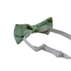 Boys Mint Green Apple Fruit Patterned Bow Tie