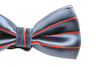 Boys Navy With Red Stripes Patterned Bow Tie