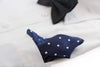 Mens Navy & Silver Small Polka Dot Silk Pocket Square