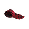 Mens Black & Red Paisley Patterned Neck Tie